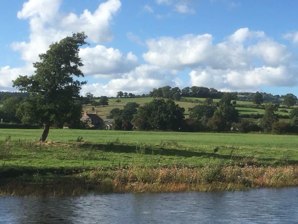 Maesnewydd Cottage ويلشبول المظهر الخارجي الصورة